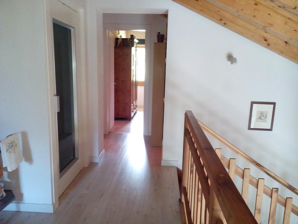 Agriturismo Il Girasole Feltre Kültér fotó