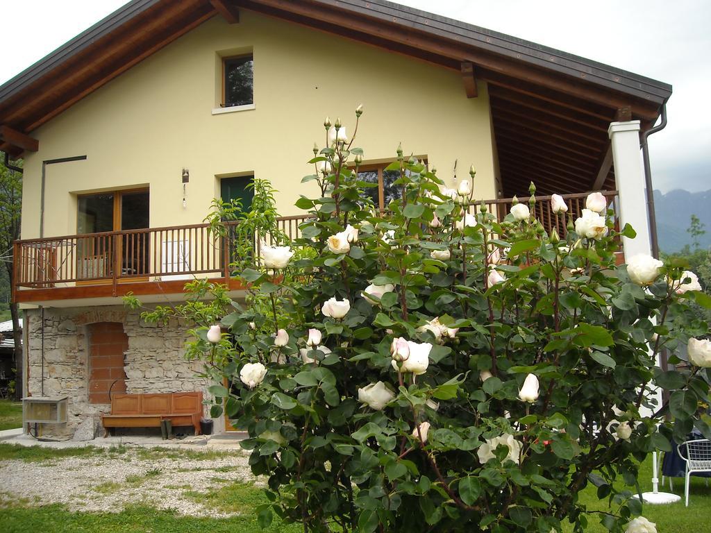 Agriturismo Il Girasole Feltre Kültér fotó
