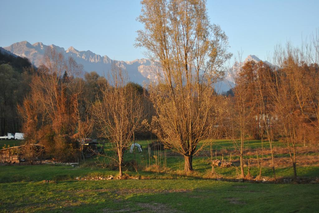 Agriturismo Il Girasole Feltre Kültér fotó