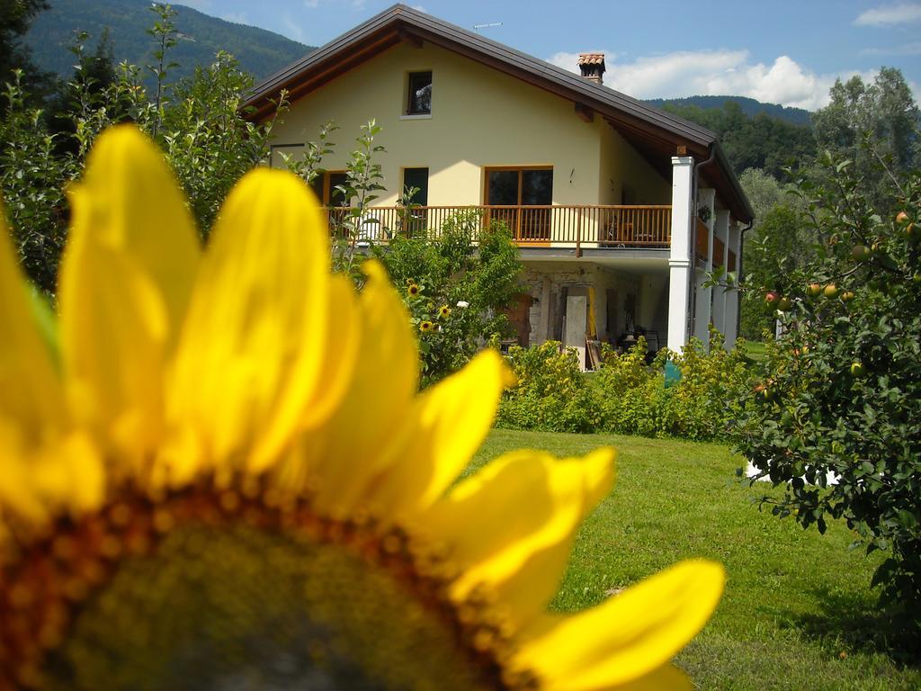 Agriturismo Il Girasole Feltre Kültér fotó